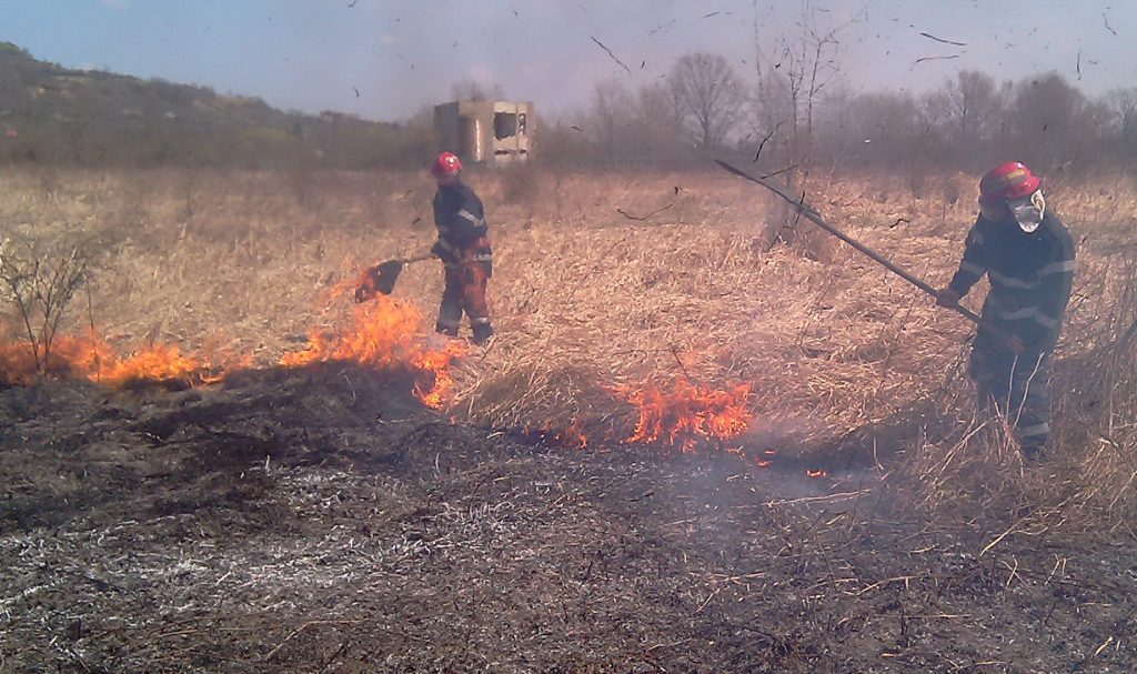 Incendii de vegetatie in Olosig Iteu Nou si Ghiorac