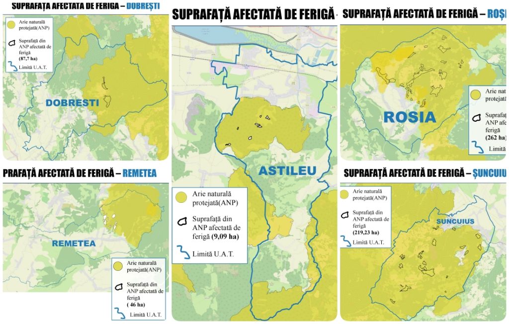 CJ Bihor investete 53 milioane lei pentru combaterea ferigii