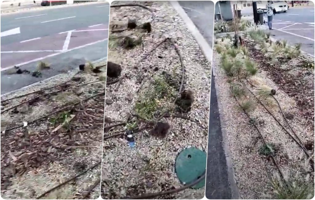 Vandalism pe Bulevardul Decebal distrugerea spatiului verde