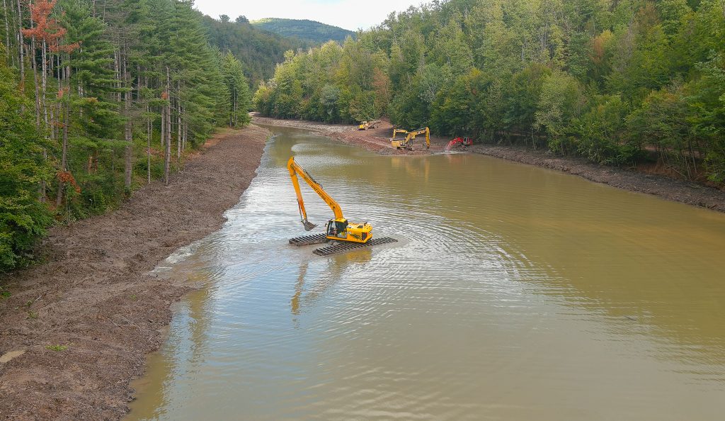 Reconstrucie ecologic la Lacul Vida