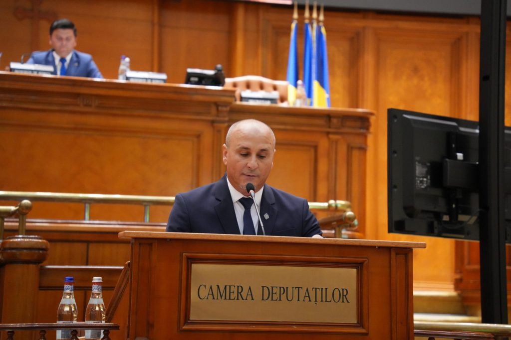 Romanii sprijina reformele dar politica se opune spune Tiplea